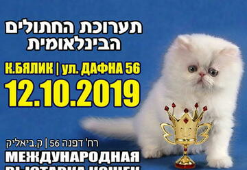 תערוכת החתולים הבינלאומית הגדולה - החתולים המלכותיים של ישראל בישראל