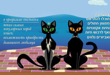 תערוכת חתולים בינלאומית בבת ים בישראל