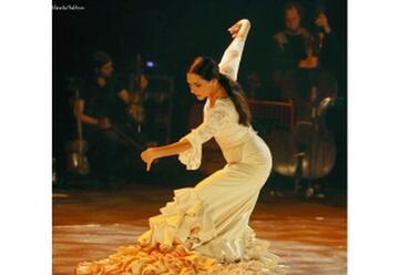 Flamenco live בישראל