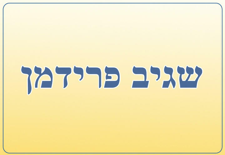 מופע סטנד אפ - שגיב פרידמן בישראל