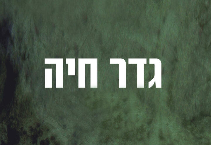 תיאטרון הקאמרי - גדר חיה בישראל