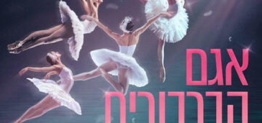 Russian Multimedia Theatre of Ballet - אגם הברבורים  בתלת מימד בישראל