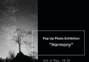 תערוכת צילום פופ-אפ ה-12 - הרמוניה - 12th Pop-up Photography exhibition בישראל